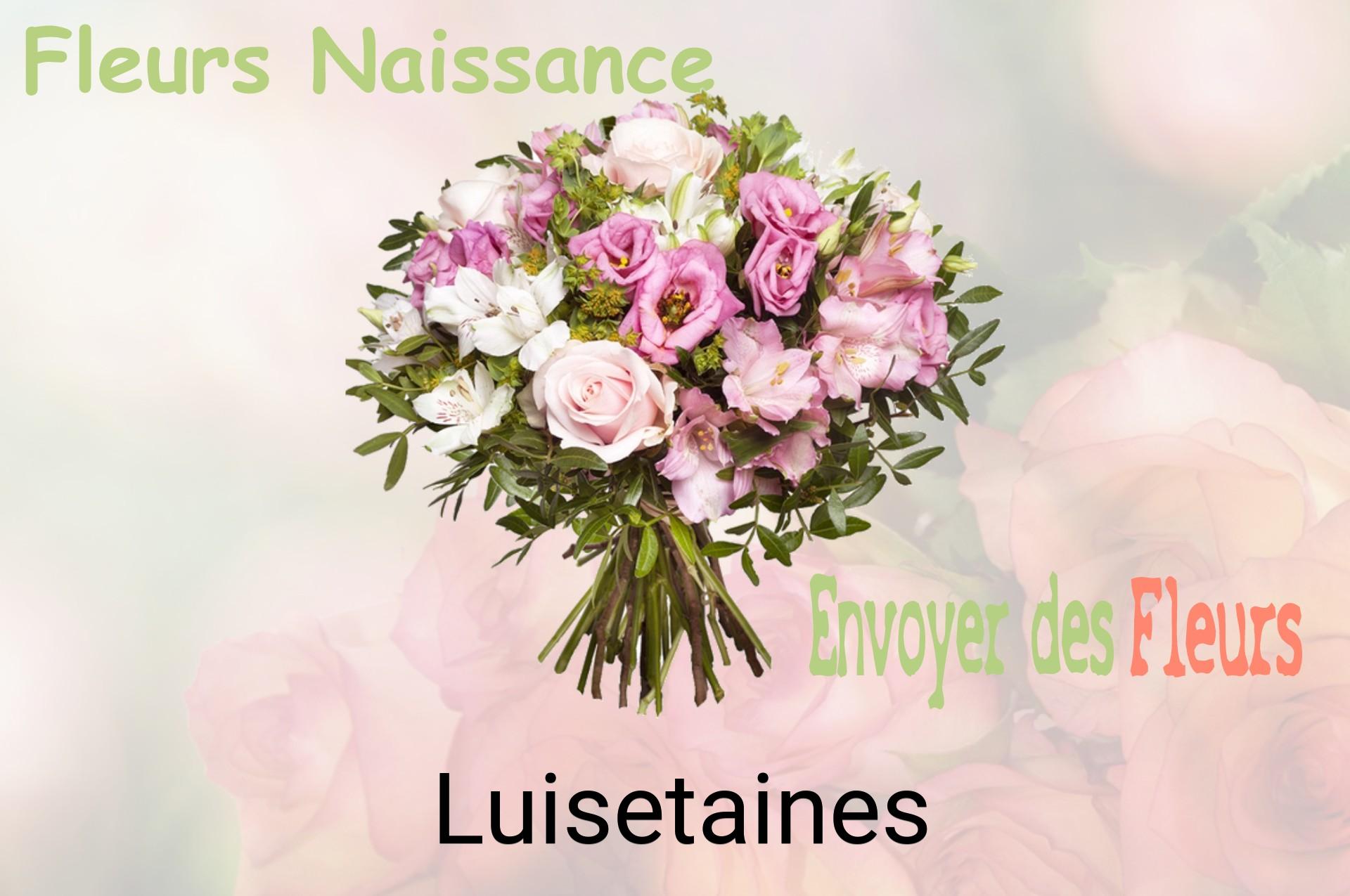 Bouquet de fleurs de naissance livré à Luisetaines